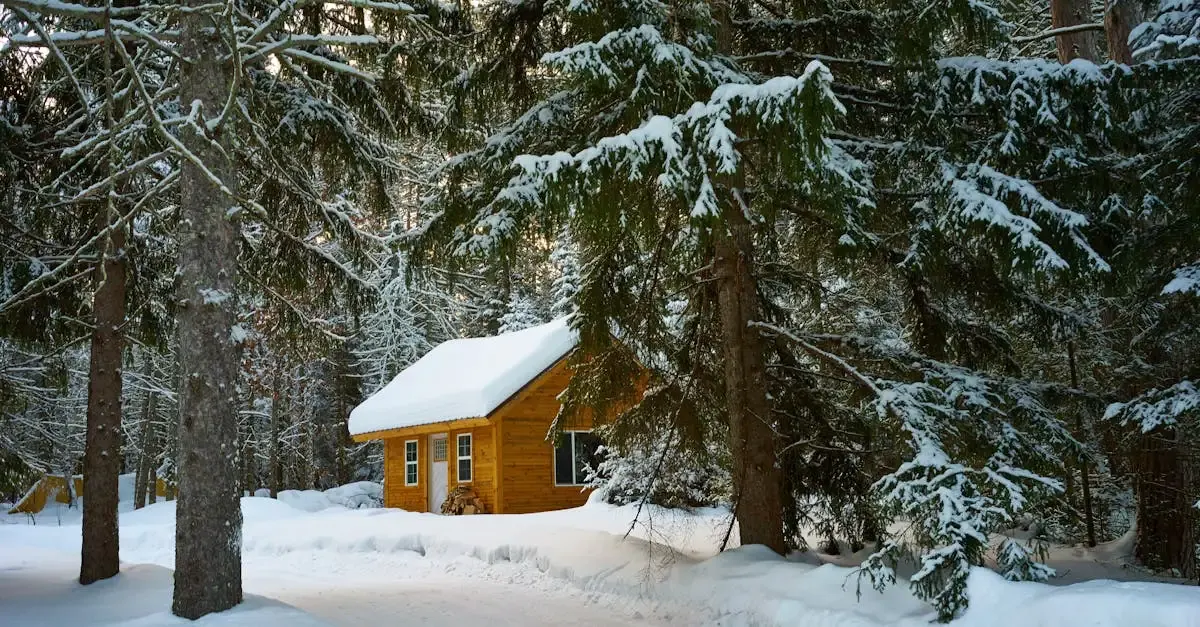 Chalet bois permis de construire